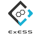 lisam-exess-logo